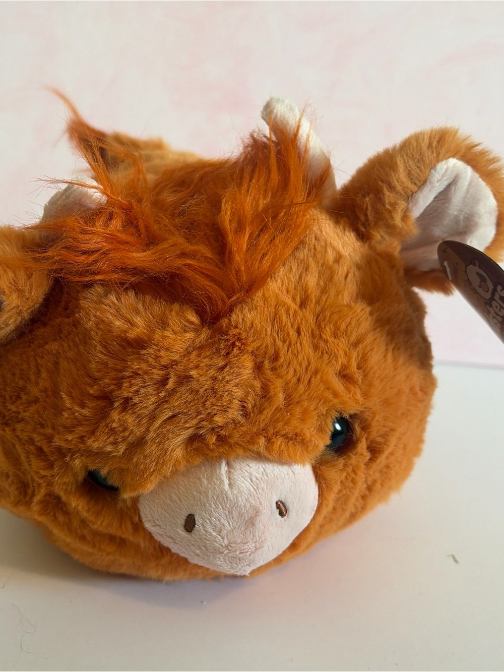 BNWT Aurora spudsters highland cow plush - Picture 3 of 5